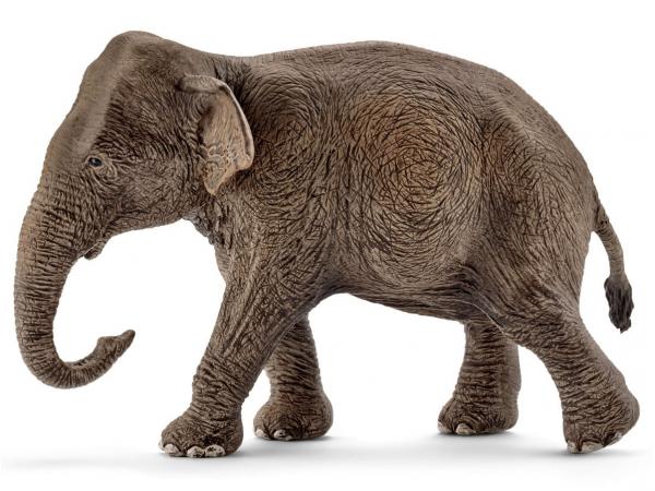 Figurine schleich elephant d'asie femelle