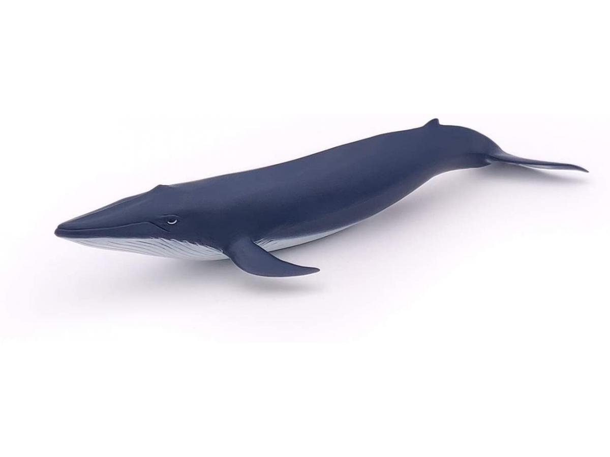 56041 Bebe Baleine Bleue PAPO NEUF 