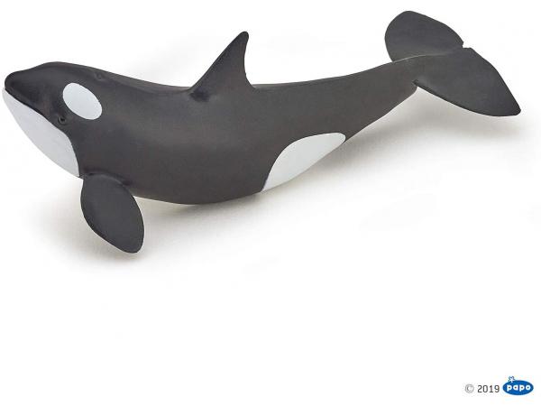 Bébé orque - dim. 12,3 cm x 5 cm x 4,5 cm