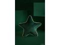Coussin Aristote étoile JUNGLE GREEN - Nobodinoz - ARISTOTEVELVET-003