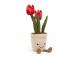 Amuseable Tulip