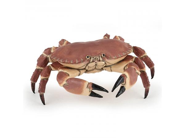 Crabe - dim. 8 cm x 7,5 cm x 2,5 cm