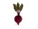 Peluche Vivacious Vegetable Beetroot - l : 8 cm x H: 22 cm - Jellycat