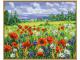Peinture aux numéros - Wildflower meadow 40x50cm