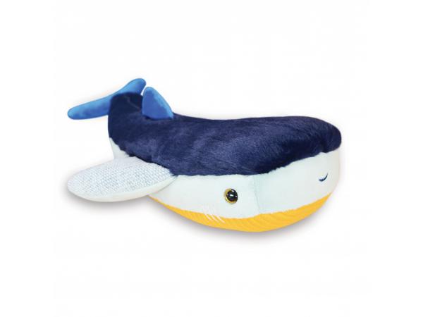 Tresors marins - requin bleu 40 cm