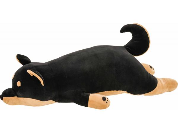 Kotetsu - chien de berger français - taille l - 56 cm