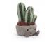 Peluche Silly Succulent cactus